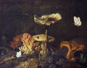 Nature morte avec champignons et papillons